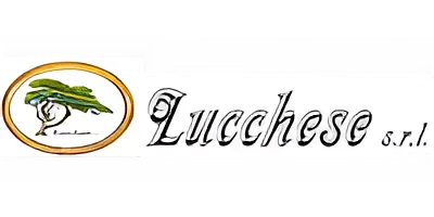 Lucchese