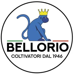 Logo Azienda Agricola Bellorio Lucio