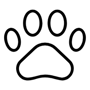 Animali Domestici