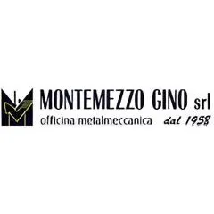 Logo Montemezzo