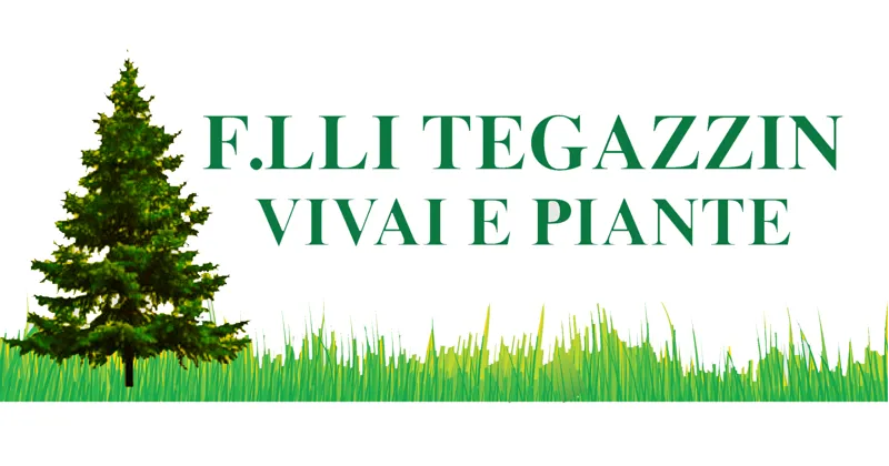 Fratelli Tegazzin