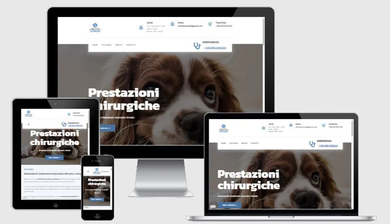 Ambulatorio Veterinario CV Athesis