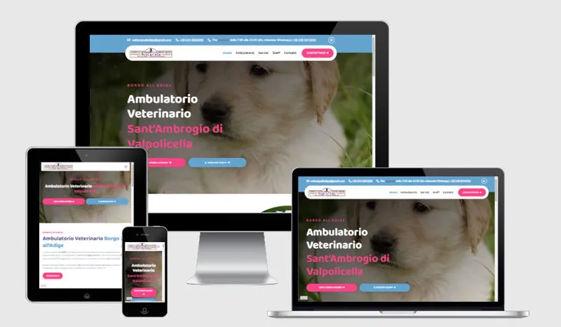 Veterinario Borgo all'Adige
