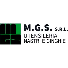 Logo M.G.S.