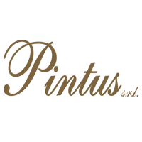Pintus restauri