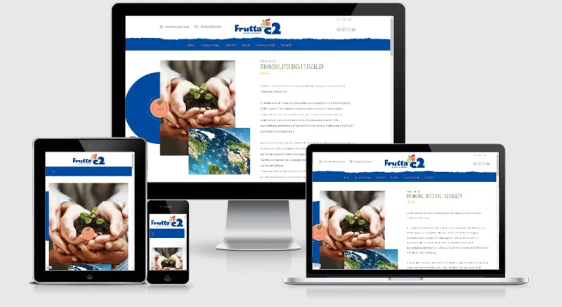 Frutta C2
